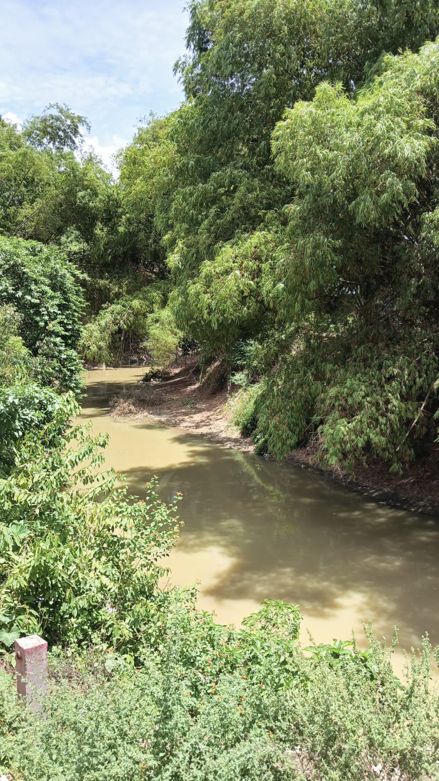SUNGAI